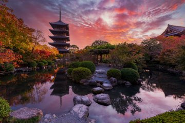 Toji Temple's garden in Kyoto