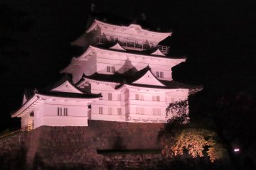 Odawara Castle at night