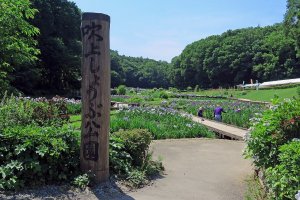 5 Iris Gardens in the Kanto Region