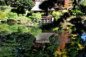 Le jardin Shukkei-en