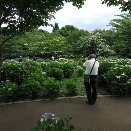 Sagamihara Kita Park