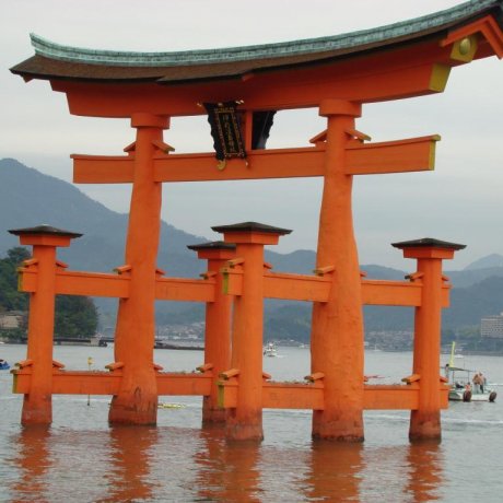 Find Out What Miyajima Has to Offer