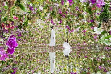TeamLab's Floating Flower Garden is one way to bring the outdoors in