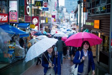 Things to Do During Japan's Rainy Season