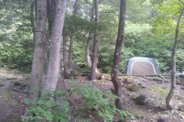 A rental tent in the woods