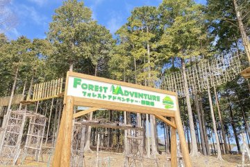 Forest Adventure Gotemba
