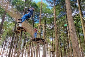 Forest Adventure Gotemba