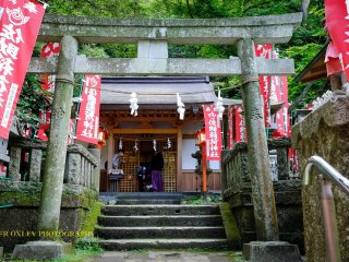 The torii and the prayer hall at the top of the steps