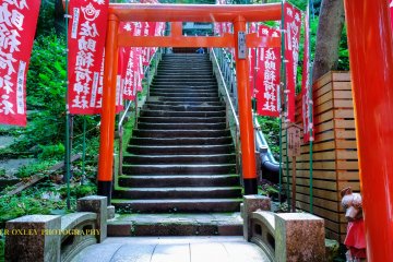 Stone steps flanked by torii and banners