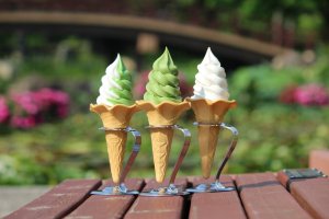 Try a lotus seed soft serve ice cream on your visit