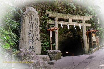 The torii in front of the tunnel, the entrance to the shrine