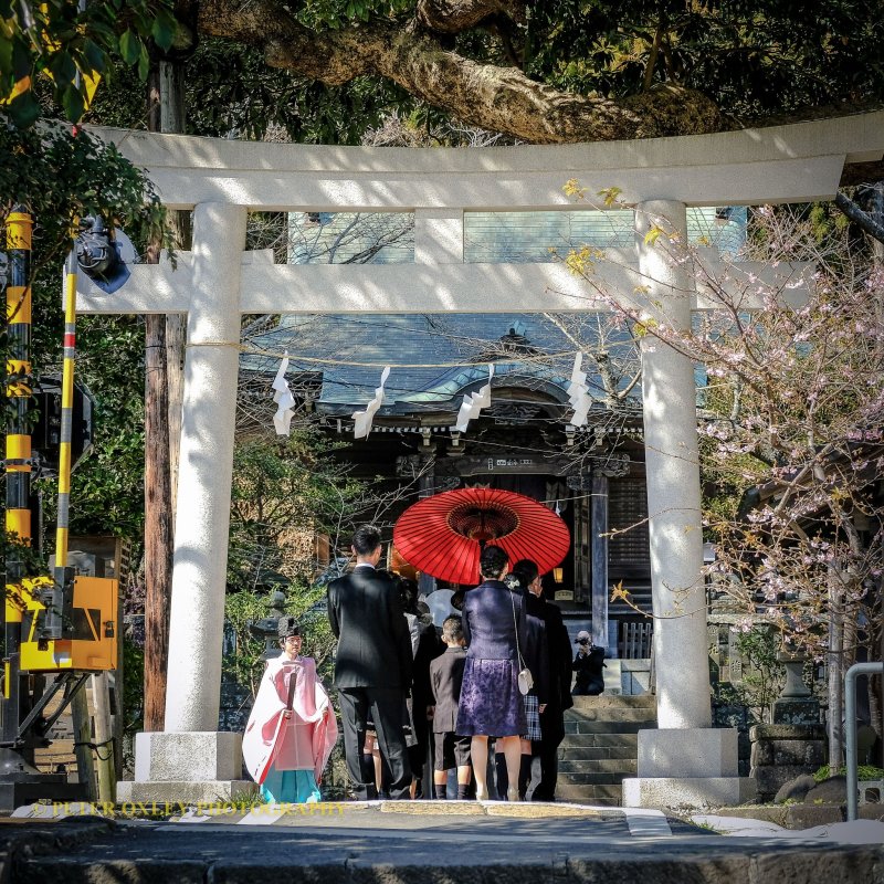 Concrete torii, entrance to the shrine