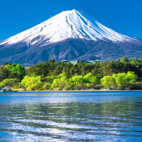 Rejuvenate Your Mind, Body, and Soul in Yamanashi