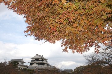 Matsuyama Castle during fall