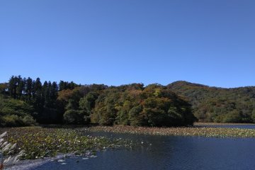 Shimo-ike wetlands