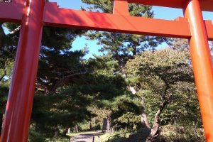 Torii gate to summit  