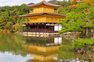 Kinkaku-Ji Temple - Gold Pavilion