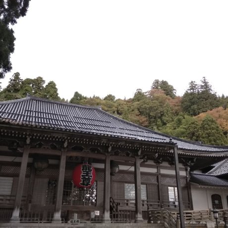 Tsuruoka's Zenpoji