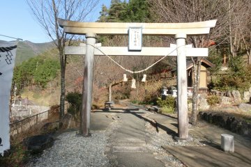 Frog Shrine in Saijiki No Mori