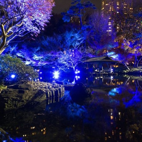 Tokyo Blue Garden Winter Festival