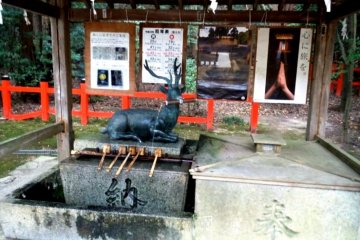 <p>Deer at the water feature&nbsp;at Oharano Shrine in the hills behind Kyoto</p>