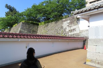 Fukui Castle Ruins