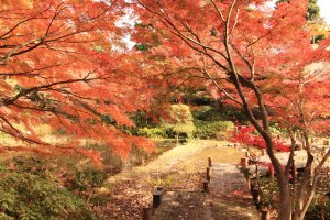 Four Picturesque Parks in Shinagawa