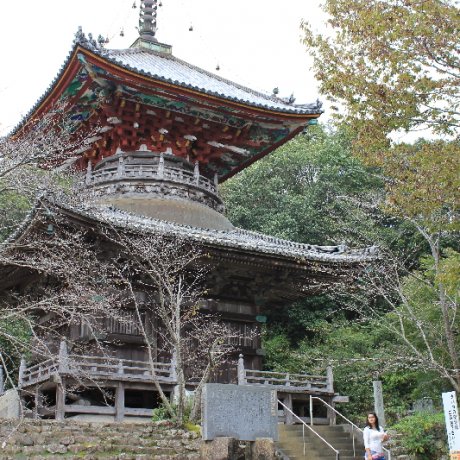 Kumadani-ji in Awa-shi