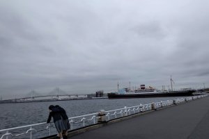 Hard to leave Yokohama 