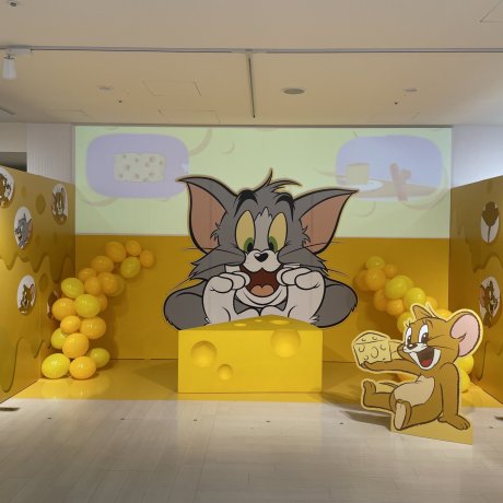 Tom and Jerry Cartoon Carnival