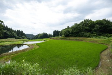 Tamugi Village tour