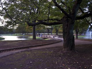 公園のこの一角はとても素敵だ。池あり橋あり、そして噴水も・・・