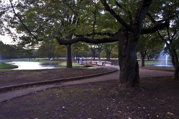 This area of the park is really nice. There is a pond, a bridge, a fountain...
