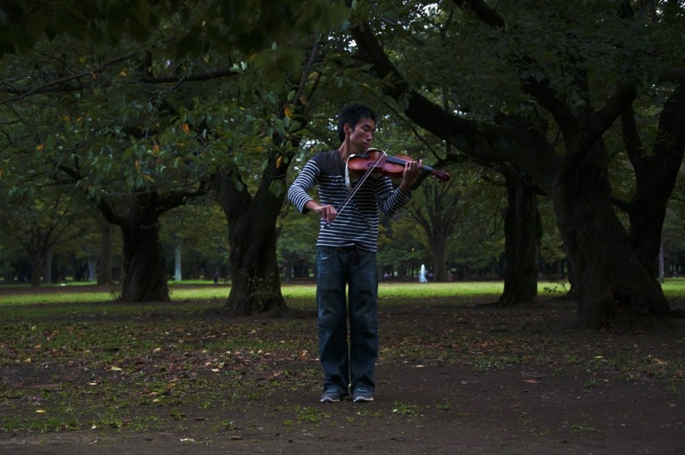 The violinist