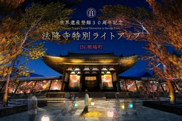 Horyuji Temple Illumination