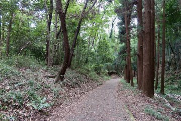 Nature trails in Takiyama Park