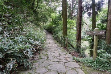 Cobblestone path