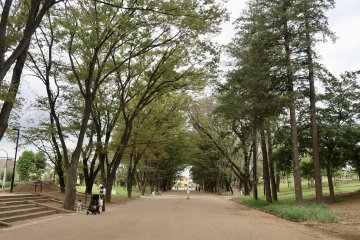 Tsuruma Park’s Suido Street