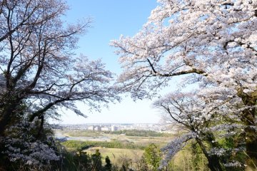 Views from Takiyama Park during Cherry Blossom season