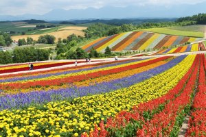Hokkaido Named on Best of Travel 2024 List
