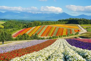 Japan's Best Tourism Villages for 2023
