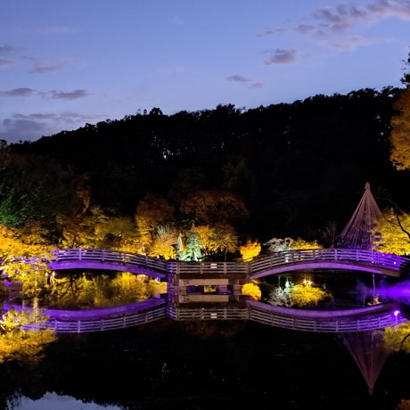 Yakushi-ike Park Autumn Illumination