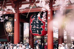Japan Makes Global Hotel Alliance's 2024 Destinations List