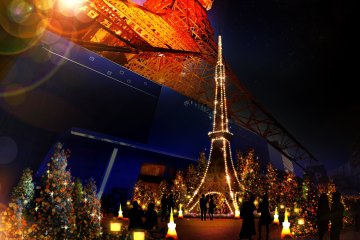 Tokyo Tower Winter Fantasy Illumination