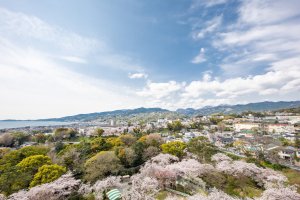 A Special Trip in Odawara