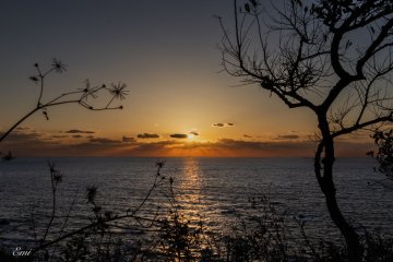 Tsushima's sunset