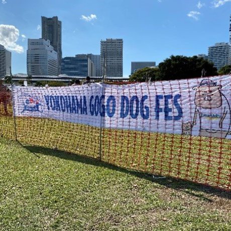 Yokohama Gogo Dog Fes 2024
