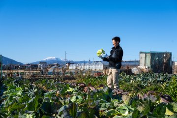 A friend looking at their fresh-picked cabbage in Mr. Ono’s field
