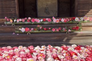 Reikanji Temple Camellia Event
