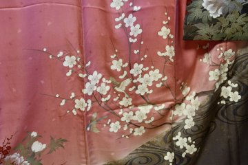 Kimono detailing
